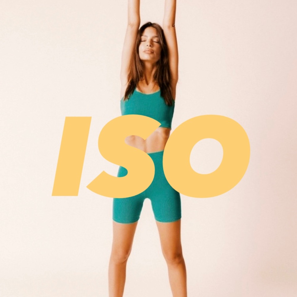 ISO DO NOT BUY Inamorata Franklin and Soto shorts